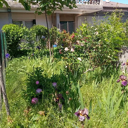 Rosalie Cottage Beaurepaire  Exterior photo