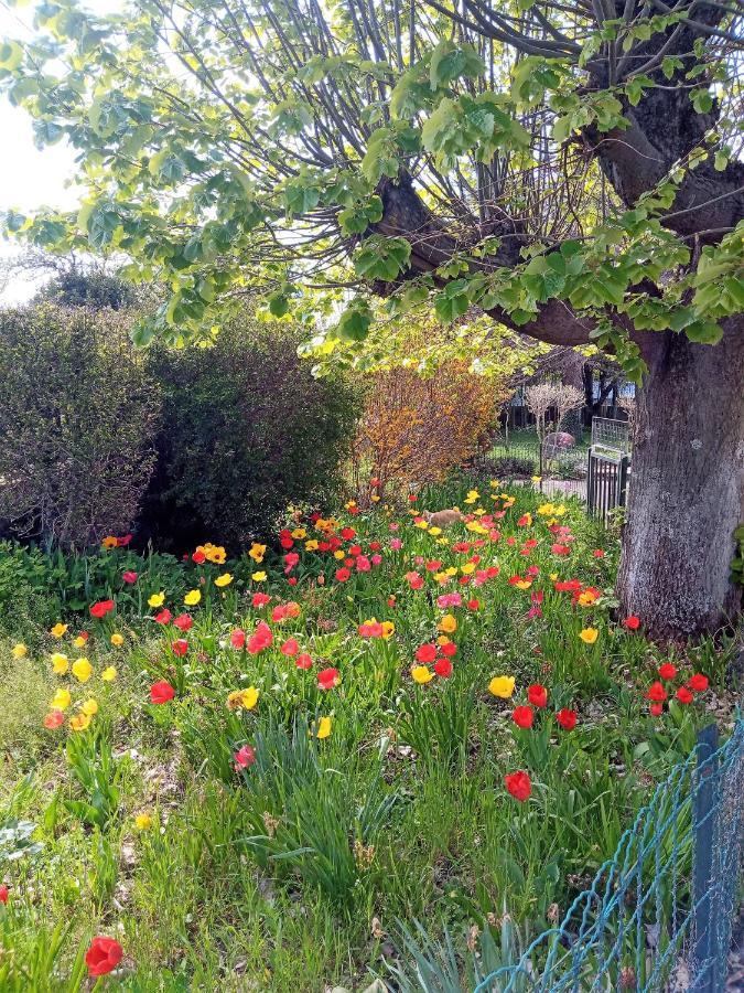 Rosalie Apartment Beaurepaire (Isere)
